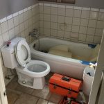 36795505_10155713271127507_7719538385471143936_n