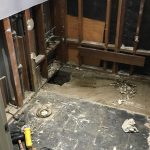 36803942_10155713271382507_6949467259152629760_n