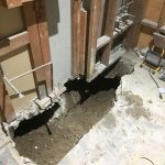 36857642_10155716315047507_3448172828115861504_n